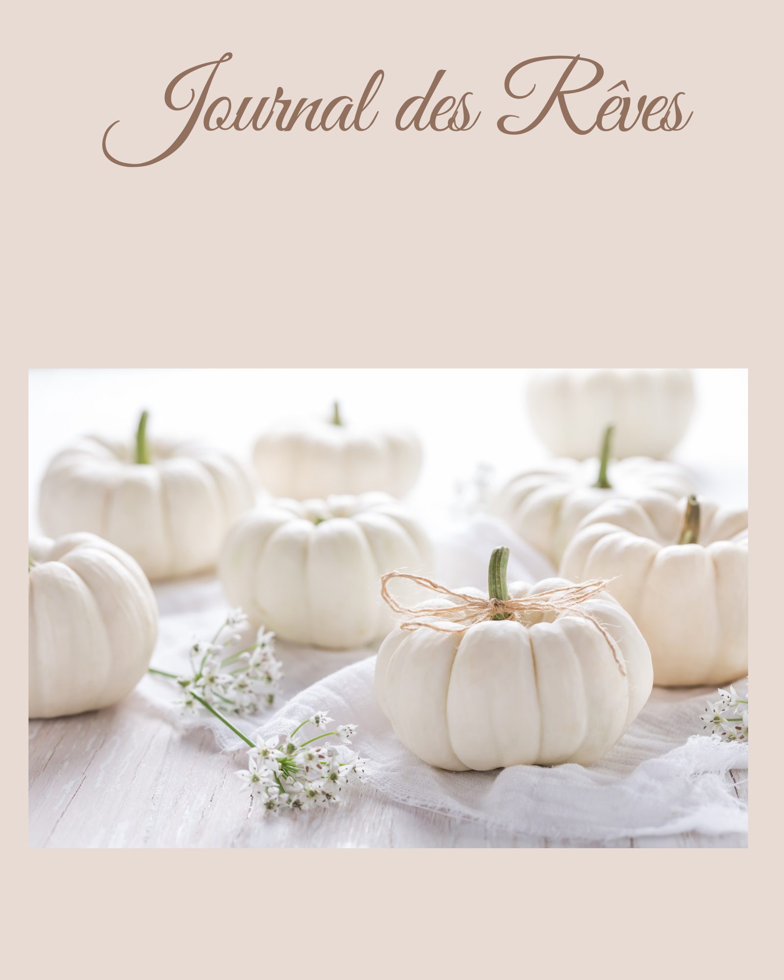 Journal des Rêves
